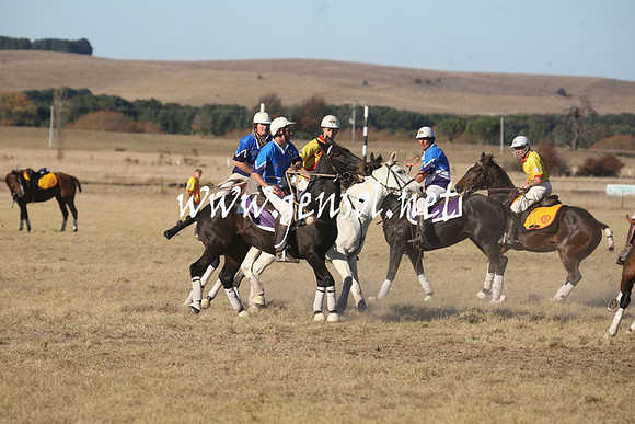 BungendorePolocrosse2013_1D_Sat_0668