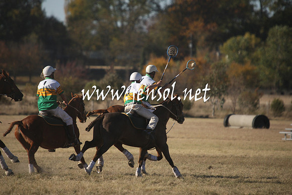 BungendorePolocrosse2013_1D_Sat_0637