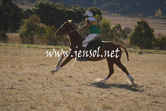 BungendorePolocrosse2013_1D_Sat_0623
