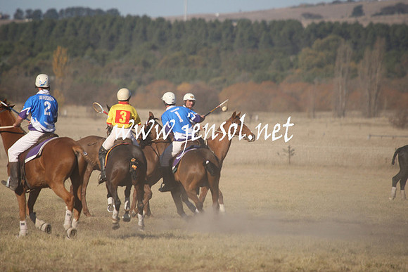 BungendorePolocrosse2013_1D_Sat_0715