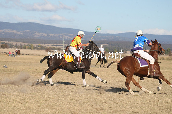 BungendorePolocrosse2013_1D_Sat_0750