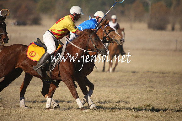 BungendorePolocrosse2013_1D_Sat_0712