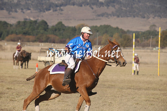 BungendorePolocrosse2013_1D_Sat_0570