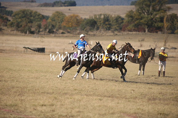 BungendorePolocrosse2013_1D_Sat_0670