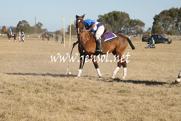 BungendorePolocrosse2013_1D_Sat_0556