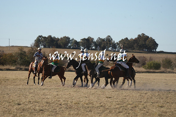 BungendorePolocrosse2013_1D_Sat_0798