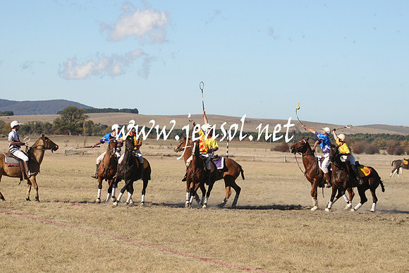 BungendorePolocrosse2013_1D_Sat_0538