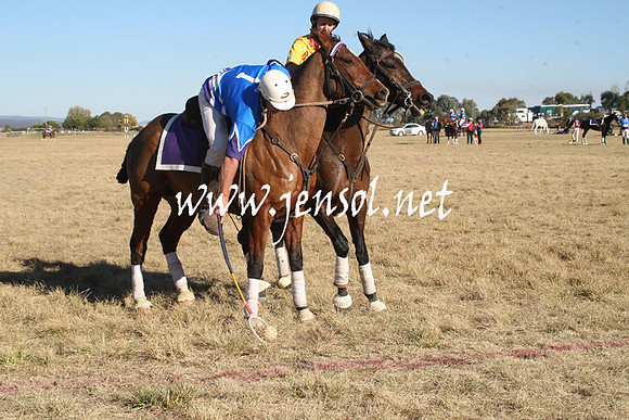 BungendorePolocrosse2013_1D_Sat_0583