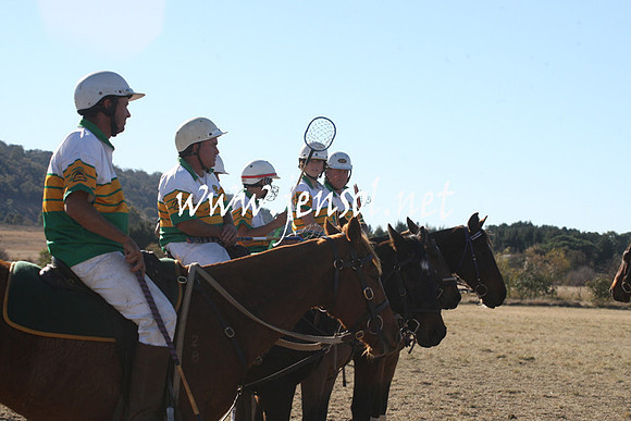 BungendorePolocrosse2013_1D_Sat_0487