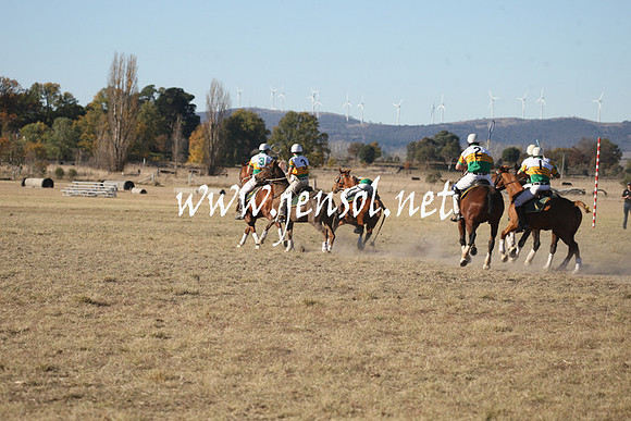 BungendorePolocrosse2013_1D_Sat_0649