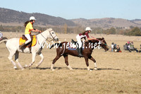 BungendorePolocrosse2013_1D_Sat_0460
