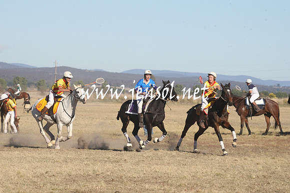 BungendorePolocrosse2013_1D_Sat_0481