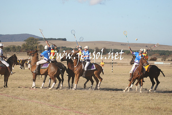 BungendorePolocrosse2013_1D_Sat_0733
