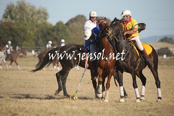 BungendorePolocrosse2013_1D_Sat_0757