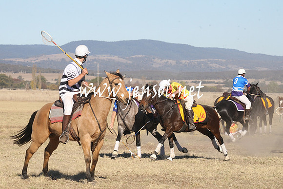 BungendorePolocrosse2013_1D_Sat_0477
