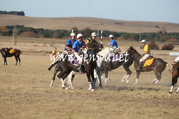 BungendorePolocrosse2013_1D_Sat_0669