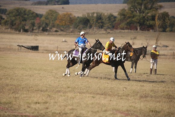 BungendorePolocrosse2013_1D_Sat_0671
