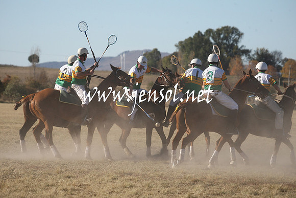 BungendorePolocrosse2013_1D_Sat_0651