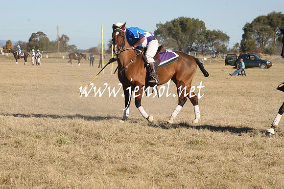 BungendorePolocrosse2013_1D_Sat_0557
