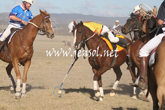 BungendorePolocrosse2013_1D_Sat_0578