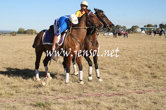 BungendorePolocrosse2013_1D_Sat_0584