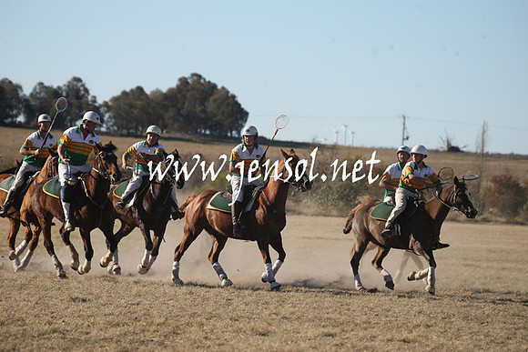 BungendorePolocrosse2013_1D_Sat_0597