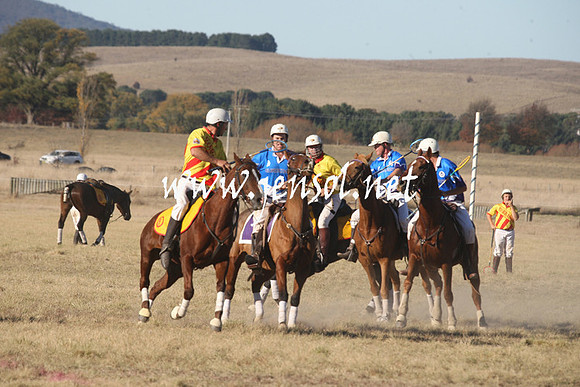 BungendorePolocrosse2013_1D_Sat_0544