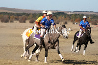 BungendorePolocrosse2013_1D_Sat_0471