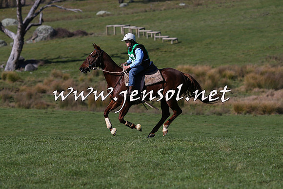 TumbarumbaStockmensChallenge_1660