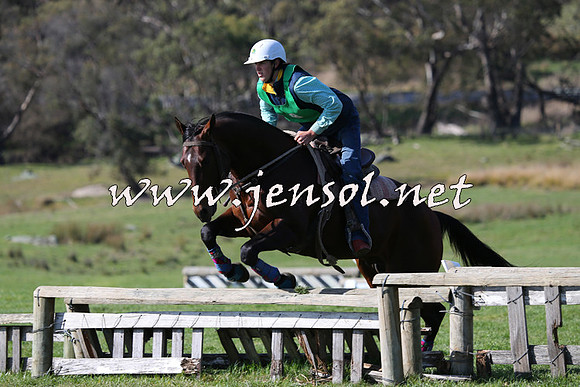 TumbarumbaStockmensChallenge_1622