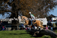 TumbarumbaStockmensChallenge_1603