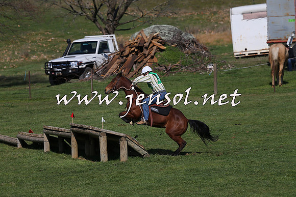 TumbarumbaStockmensChallenge_1597