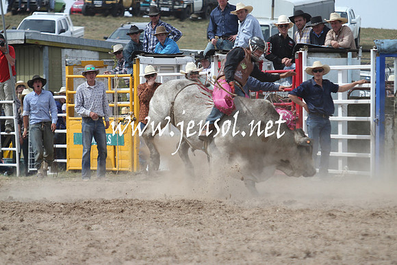 BungendoreRodeo2013_2011