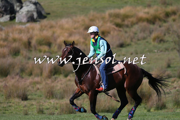TumbarumbaStockmensChallenge_1617