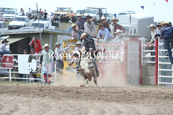 BungendoreRodeo2013_1698