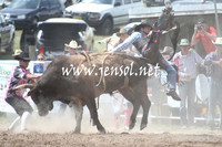 BungendoreRodeo2013_1583