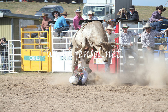 BungendoreRodeo2013_2314