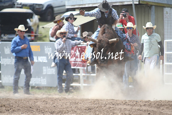 BungendoreRodeo2013_1570