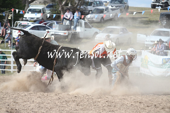 BungendoreRodeo2013_2239