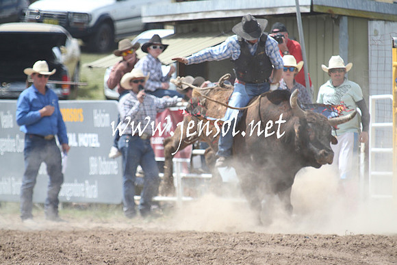 BungendoreRodeo2013_1572