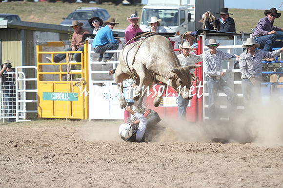 BungendoreRodeo2013_2315