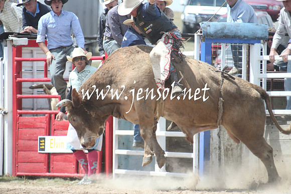 BungendoreRodeo2013_1635