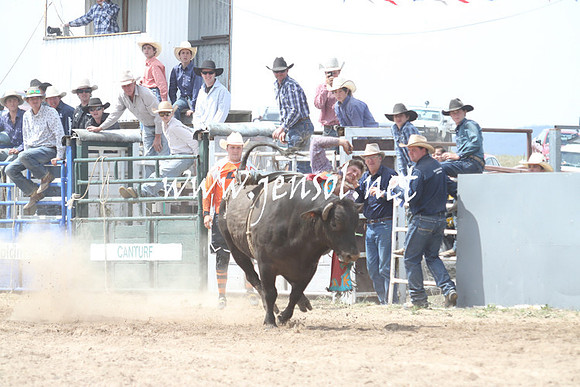 BungendoreRodeo2013_1690