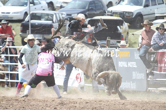 BungendoreRodeo2013_1626