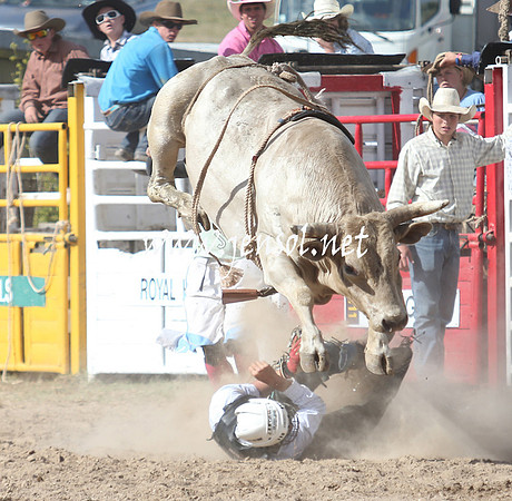 BungendoreRodeo2013_2317