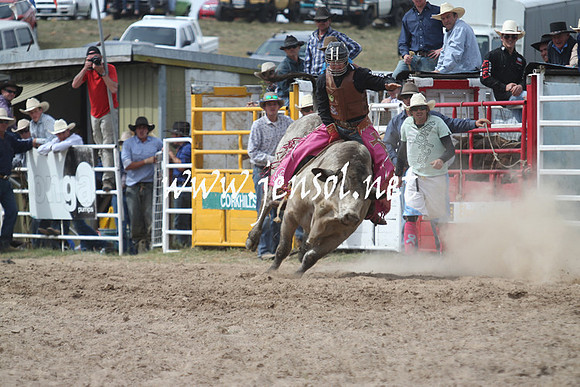 BungendoreRodeo2013_2005