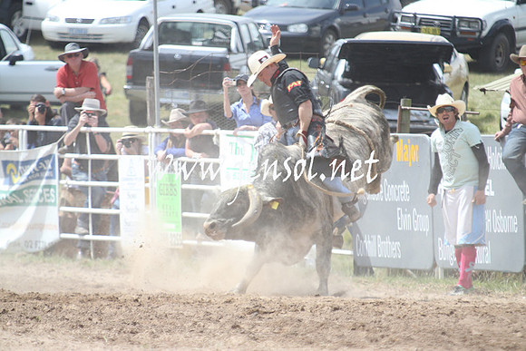 BungendoreRodeo2013_1623