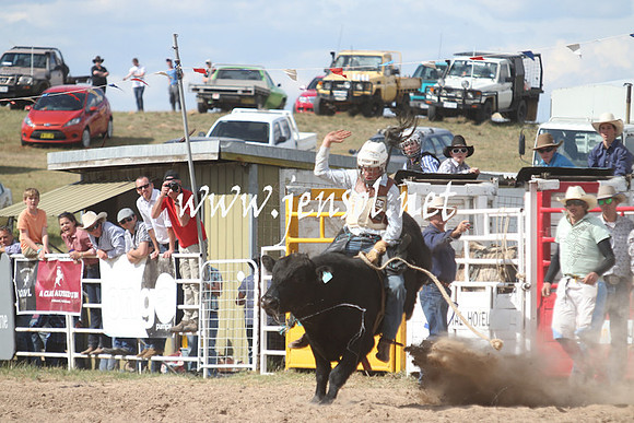 BungendoreRodeo2013_2227