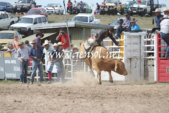 BungendoreRodeo2013_2015
