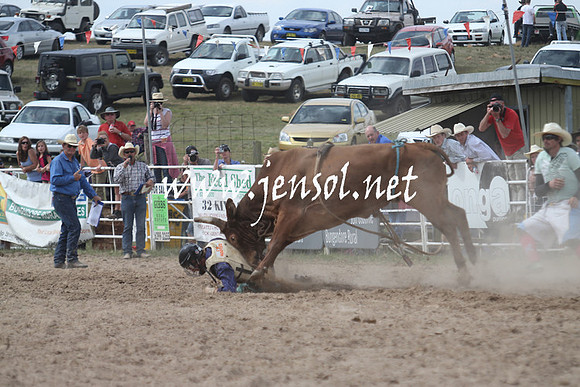 BungendoreRodeo2013_1934